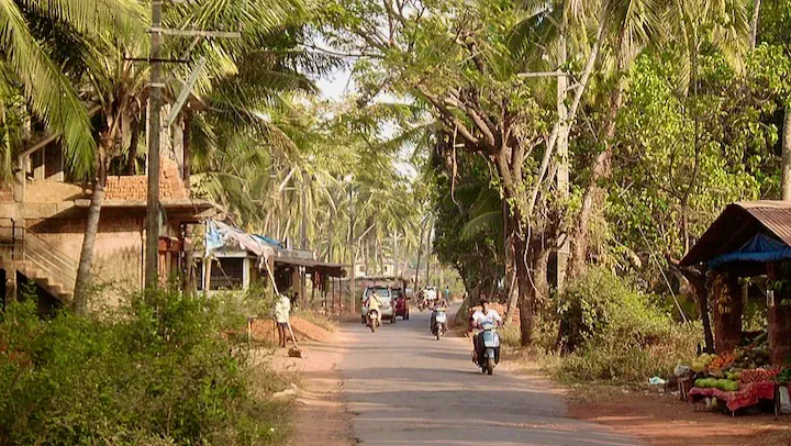 Goa village road lined with coconut palms